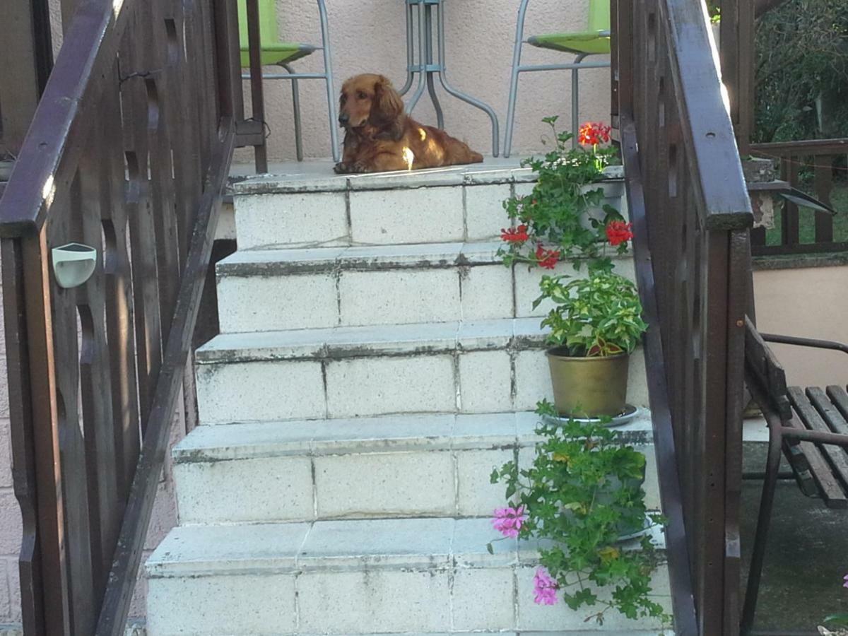 Utulny Privat Velky Meder Exterior foto
